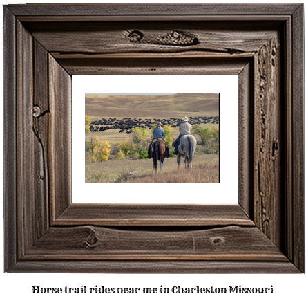 horse trail rides near me in Charleston, Missouri